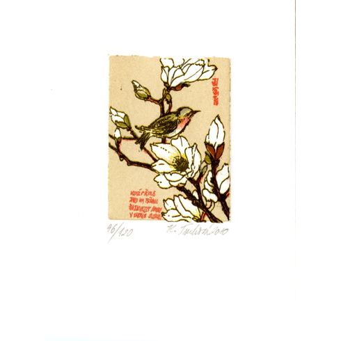 Japonské inspirace, Jarní magnolie - litografie