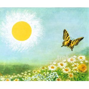 Obraz, rám Zahrada, Motýl a slunce - Jiří Trnka