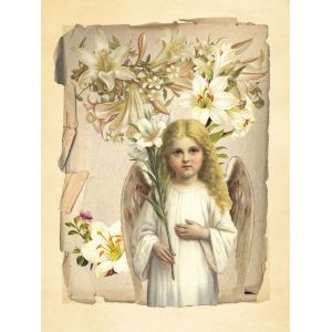 Anděl - Nevinnost lilií