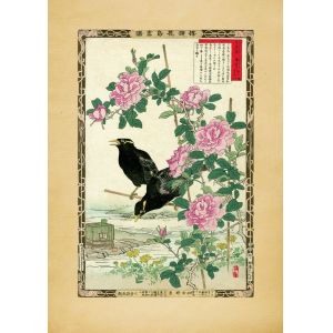 Reprodukce - Japonské doteky, vrány a růže